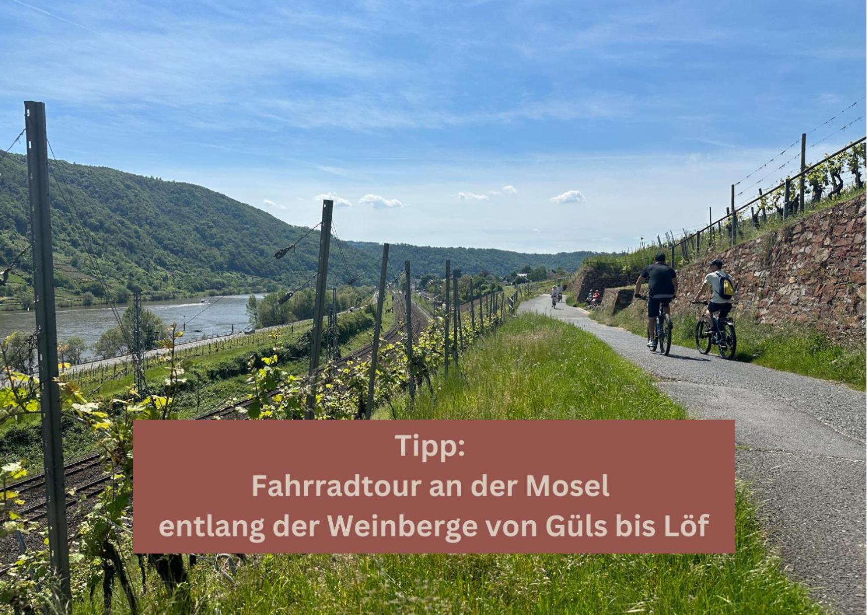 New York Apartment - Fuer Freunde & Familien, Stadtnah, Parkplatz, E-Ladestation, Gitterbox Fuer Fahrraeder, Fitnessstudio, Digitale Gaestemappe Mit Restaurant- Und Unternehmenstipps Koblenz  Bagian luar foto
